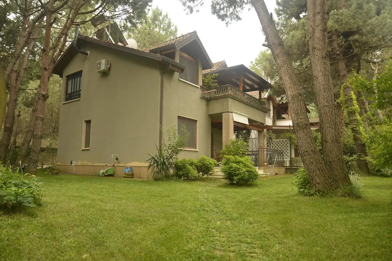 Villa Miro
